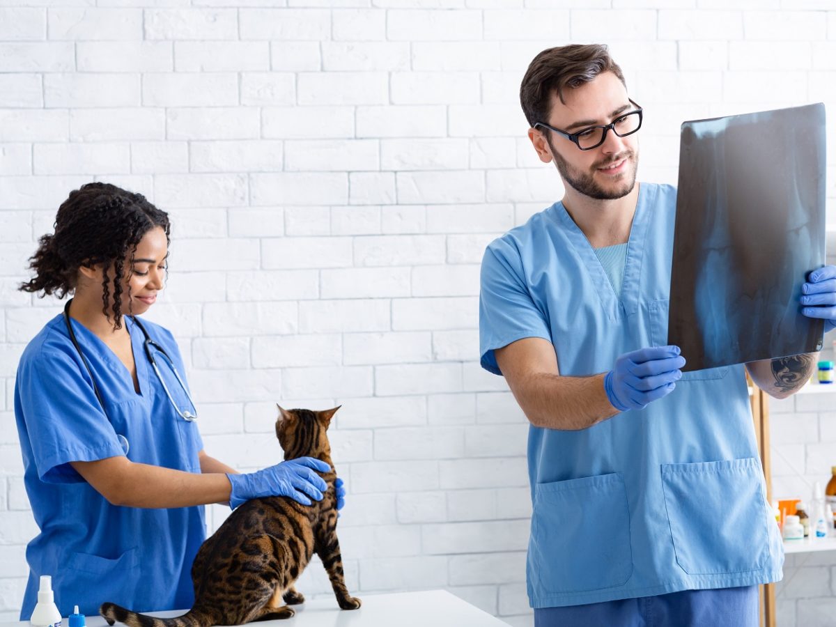 Radiation Management Plans for Vet Clinics