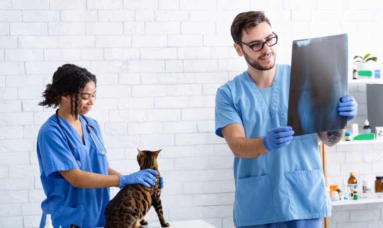 Radiation Management Plans for Vet Clinics